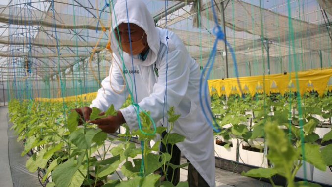 prospek kerja agroteknologi