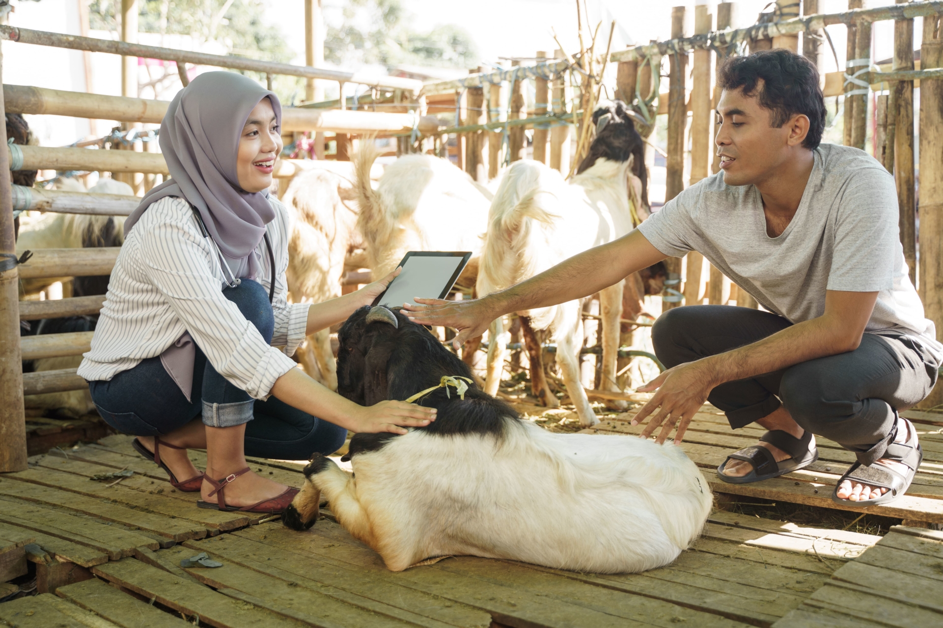 Prodi Nutrisi dan Teknologi Pakan