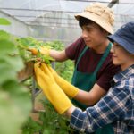 jurusan agroteknologi kerja apa