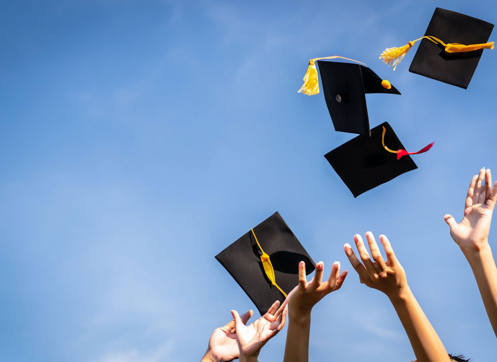 Cara Mendapatkan Beasiswa Kuliah Gratis