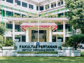 kampus top 10