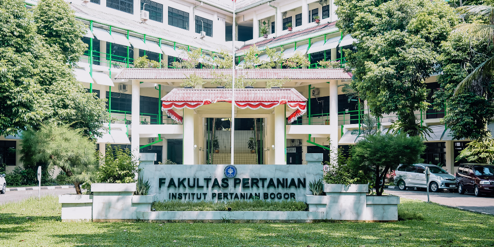 kampus top 10